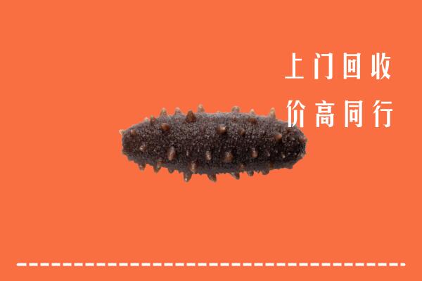 高价求购：湖州回收海参